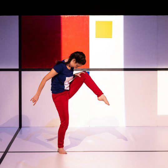 feuilles spectacle à la mjc de rodez