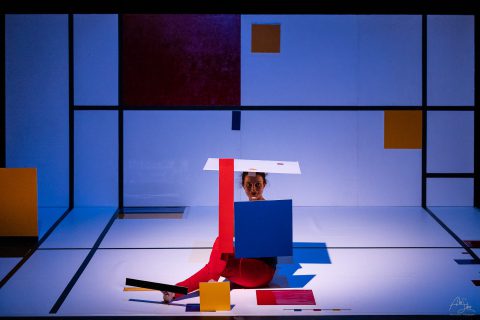 Crédit : Alain Scherer feuilles spectacle de danse à la mjc rodez