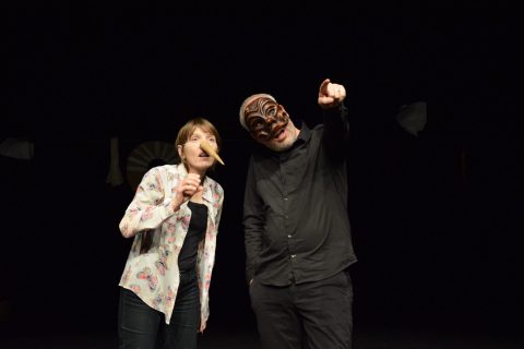 spectacle pinnochio le pantin maraviglioso à la mjc de rodez