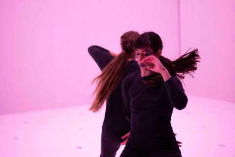Crédit : Loran Chourrau wonderland spectacle à la mjc de rodez