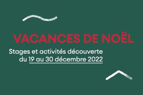 vignette stage vacances noël