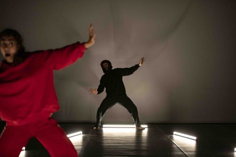 Crédit : Erik Damiano